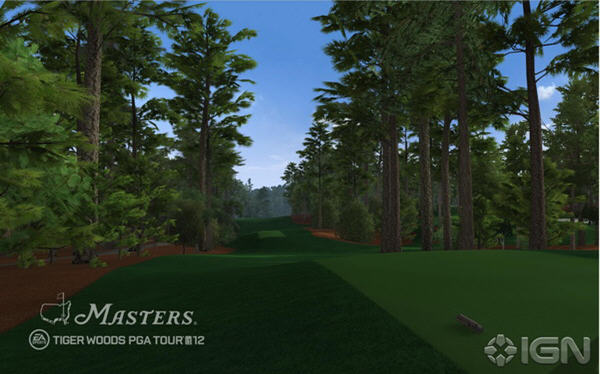 ϻƝ12:ِ(Tiger Woods PGA TOUR 12 The Masters)ӲP؈D3