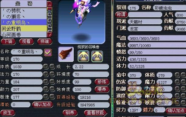 梦幻西游坐骑加点是否影响人物总属性?