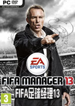 FIFA13עָ