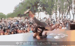 每周搞笑gif图片大合集乐游网第二十四期