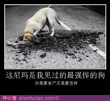 2B青年欢乐多 神吐槽图片汇总(1)