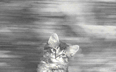 381_237 gif 动态图 动图