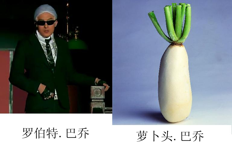 爱情公寓3诸葛亮不亮系列搞笑图赏完整页