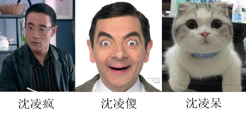 爱情公寓3诸葛亮不亮系列搞笑图赏完整页