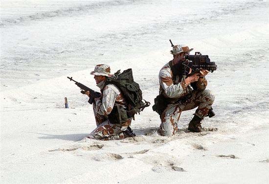 击毙本拉登仅需325美元 真人反恐带你穿越