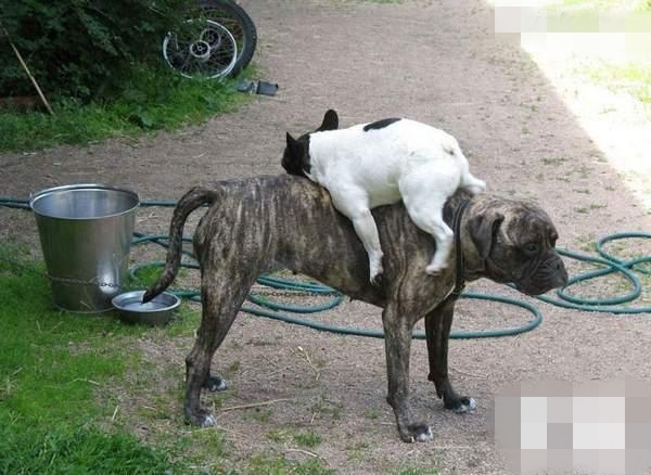 宿管阿姨通报批评打飞机 尴尬搞笑图片汇总完