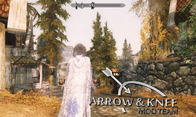 上古卷轴5淑女披风mod 下载