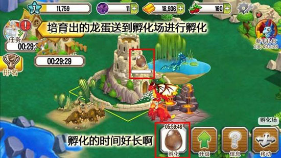 DragonCity()v3.0؈D4