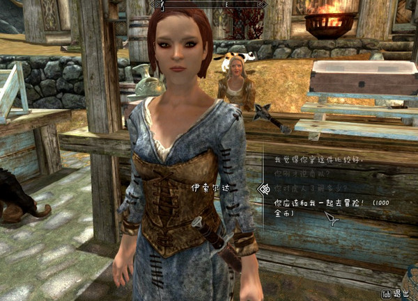 上古卷轴5NPC冒险者MOD