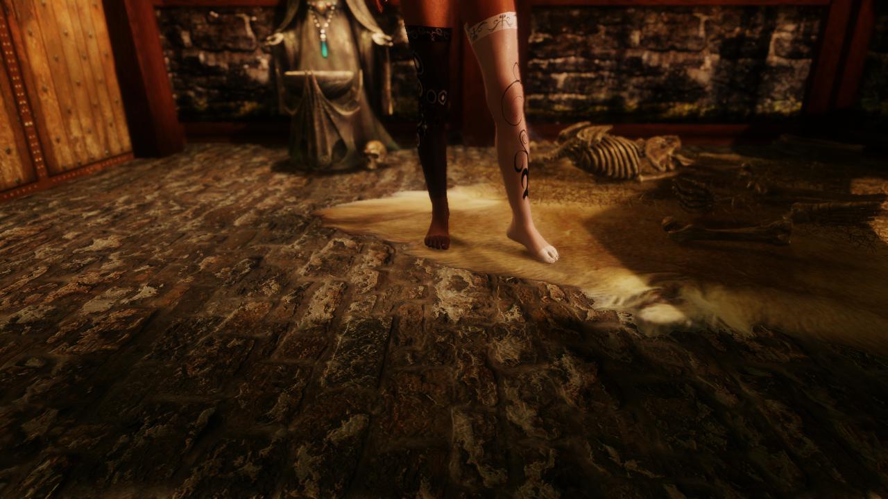 上古卷轴5黑白丝袜UNP身形 下载