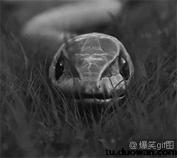 首页 游戏资讯  八卦娱乐 → 每日爆笑动图第5弹:贝爷 请大声的告诉我