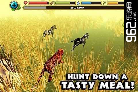 我的动物世界之我的老虎世界中文破解版v1.0截图0