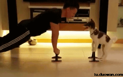 搞笑gif动图(11月22日)大声告诉我你全程看哪里?