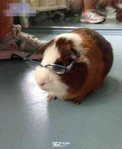 每日搞笑囧图(11月23日)活该你注孤生,都不知道给美女