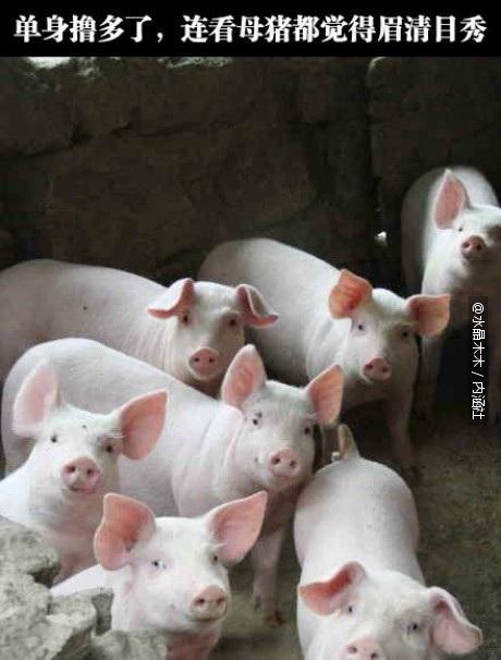 每日搞笑囧图(12月29日) 女性的可爱就在于她们对美食