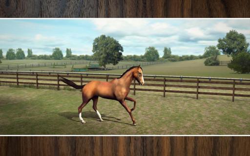 My Horse(ҵ)v1.17.1ͼ0
