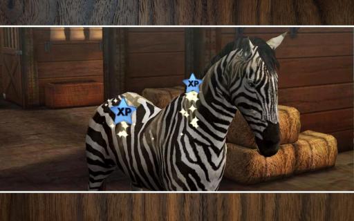 My Horse(ҵ)v1.17.1ͼ4