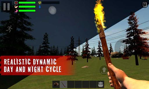 The Survivor(Ҵ:zɭ)v1.1.6؈D0