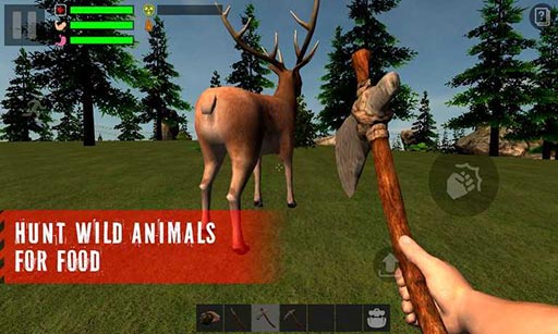 The Survivor(Ҵ:zɭ)v1.1.6؈D3