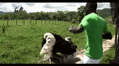 来看今天的搞笑囧图大荟萃(50)吧