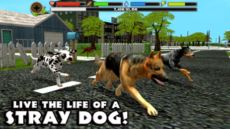 Stray Dog Sim(˹ģM)v1.4׿؈D1