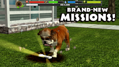 Stray Dog Sim(˹ģ)v1.4׿ͼ3