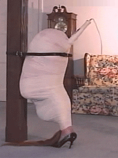 244_325竖版 竖屏gif 动态图 动图