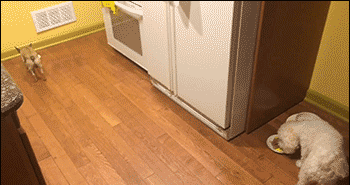 绝对领域独特视角 来看今天的搞笑囧图大荟萃(66)