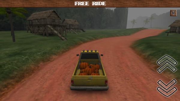 Dirt Road Trucker 3D(3D·)v1.5.13ͼ2