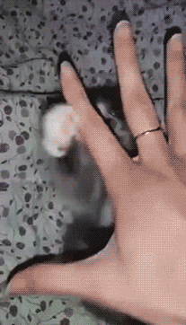 每日爆笑动图时刻6月23日看妹子可以千万别惹怒妹子啊