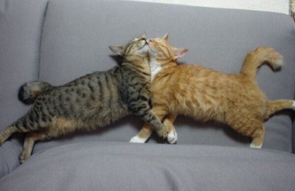 每日搞笑囧图(7月22日)现在孩子可不够大度哦 搞笑囧图带你看被背叛是