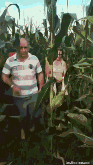 每日爆笑动图8月13日妹子好厉害的拳法虎虎生风是在下输了