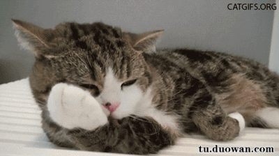 400_224gif 动态图 动图