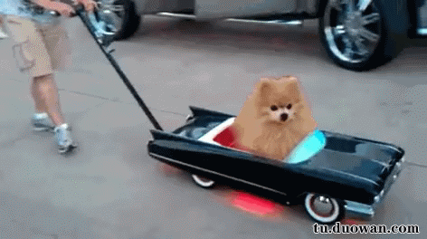 每日爆笑动图8月25日你你别过来我会还手的