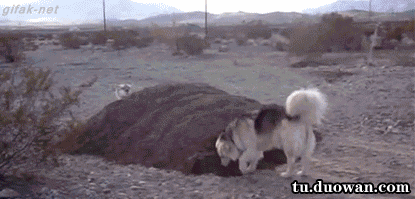 好~轮到你来追我了