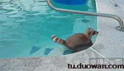 每日爆笑动图9月4日日本有v韩国有mv我国有什么呢