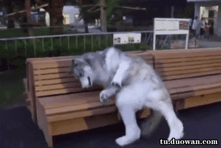 每日爆笑动图(9月28日)帮妹子收拾房间的时候 这到底看见了什么?