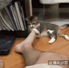 每日搞笑gif(1月28日) 求单身狗的心里阴影面积