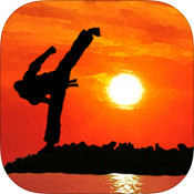 跆拳道英雄ios苹果版 v1.0.1