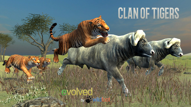 Clan of Tigersĺv1.0ͼ1