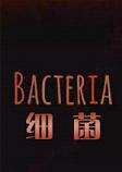 ϸBacteria