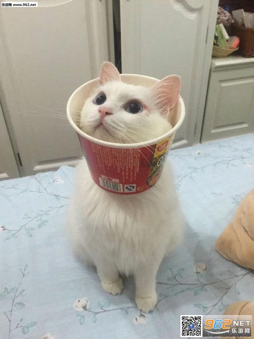 搞笑囧图(11月15日) 姑凉 你这样手机很容易被顺走的