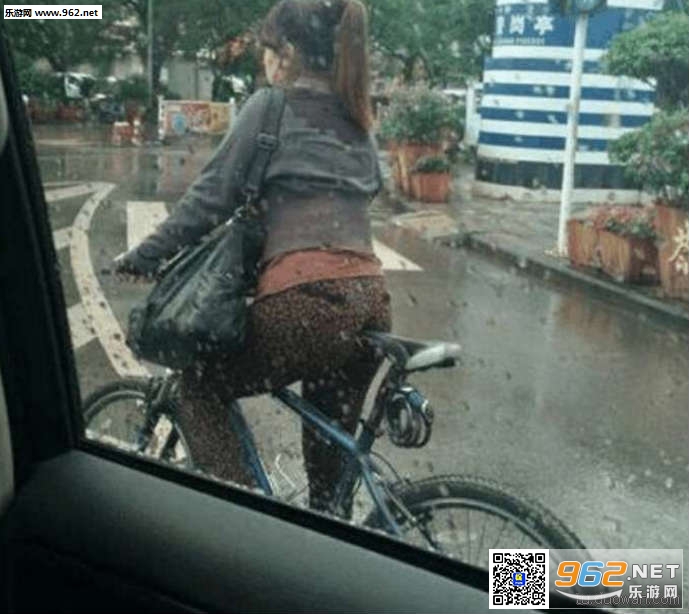 搞笑囧图11月22日家里的狗狗又做坏事了炖还是炸好