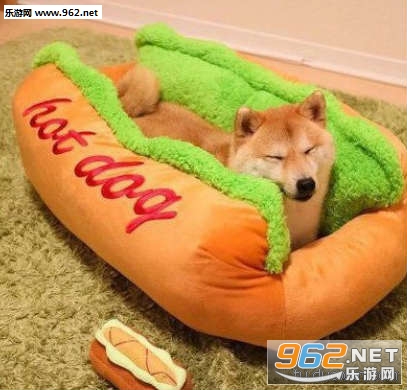 搞笑囧图(11月30日) 这种场面 光着膀子也不觉得冷