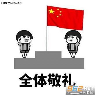 升国旗敬礼动图表情包