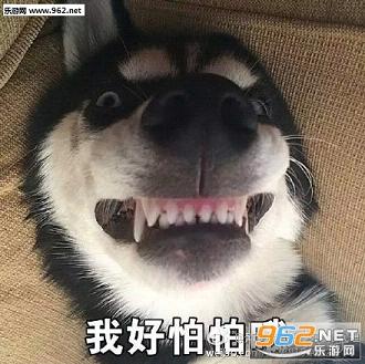 doge我好害怕哦表情包