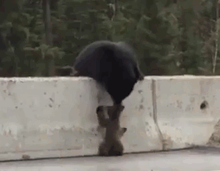 真正的软妹子是能劈叉,又能过很低的单杠的,当然穿着短裙还能玩旋风腿