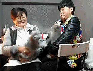 天下武功,唯快不破!