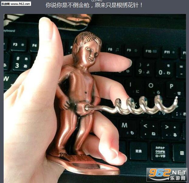 每日搞笑囧图(2月25日) 爱新觉罗家的祖传情话