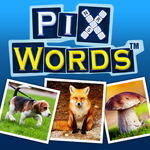 ƴPixWords׿(Ӣﵥѧϰ)v1.88